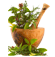 Ayurvedic-&-Herbals