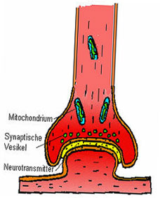 reduce Spasticity