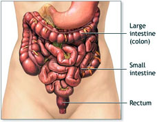 Intestinal gas