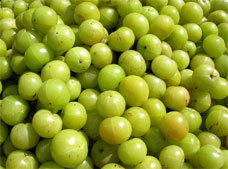 amla