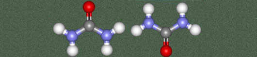 blood_urea