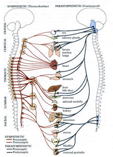 Chronic Fatigue Syndrome Treatment