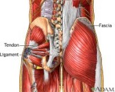 Duchenne MD