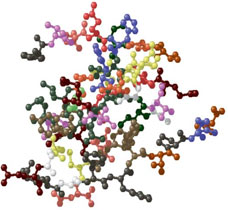 Structure of Insulin