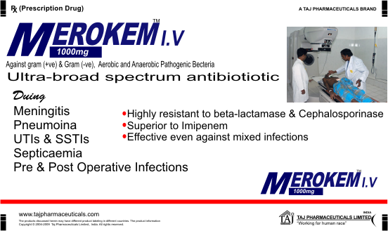 Merokem I.V (Meropenem Injection)