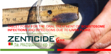  zenticide Praziquantel TABLETS SIDE banner