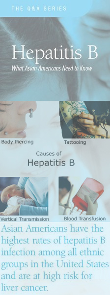 hepatitis b