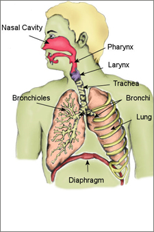 Taj Pharmaceutical Neoplastic Disorders Index