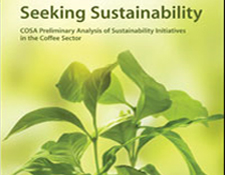 Seeking Sustainability