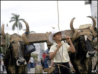 Traditional ox cart parade, San Jose, 2006 