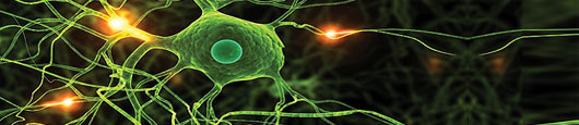 Amyotrophic Lateral Sclerosis