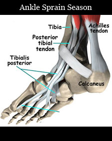 ankle_sprain_season