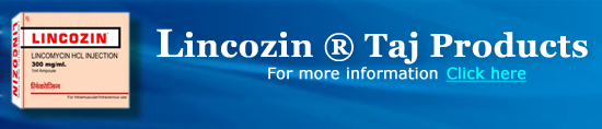 lincozin products