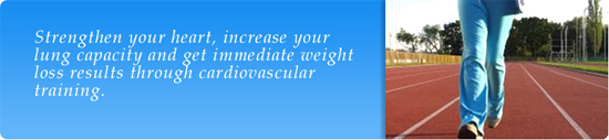 Taj Pharmaceutical Cardiovascular System Index