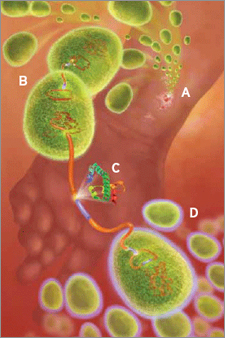 Antibiotics