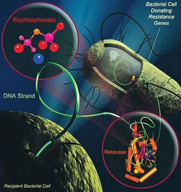 AntibioticResistantBacteria